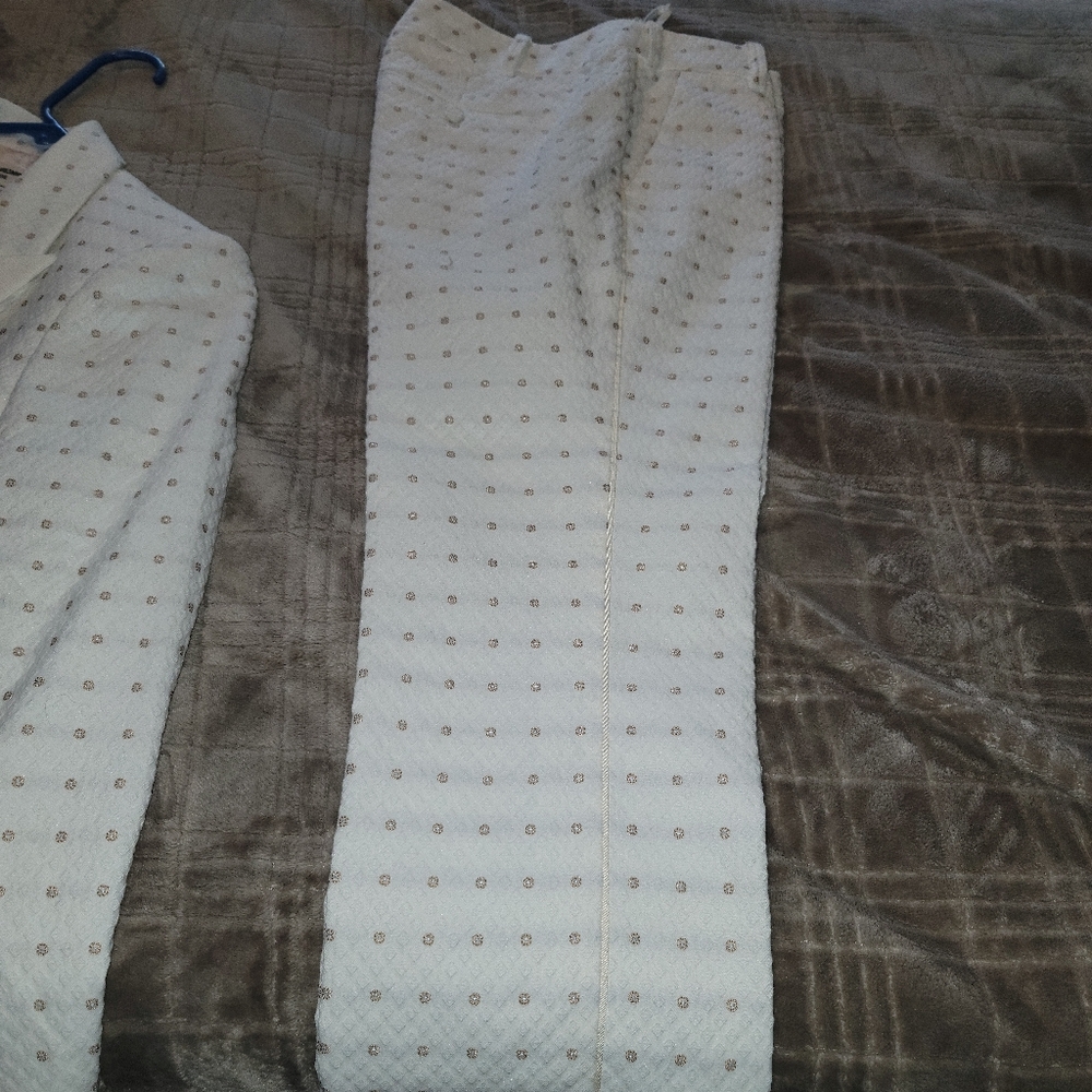 Zadig and voltaire pants